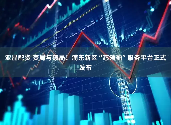 亚晶配资 变局与破局！浦东新区“芯领袖”服务平台正式发布